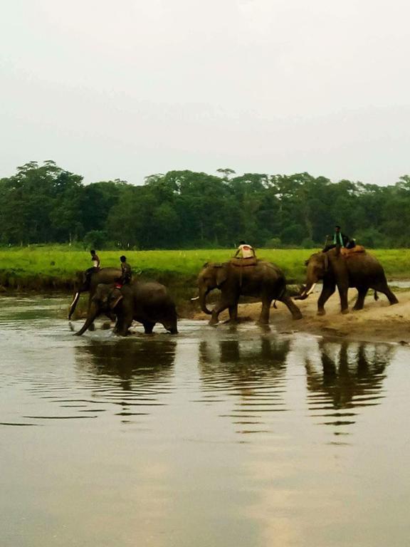 Unique Wild Resort Sauraha Dış mekan fotoğraf