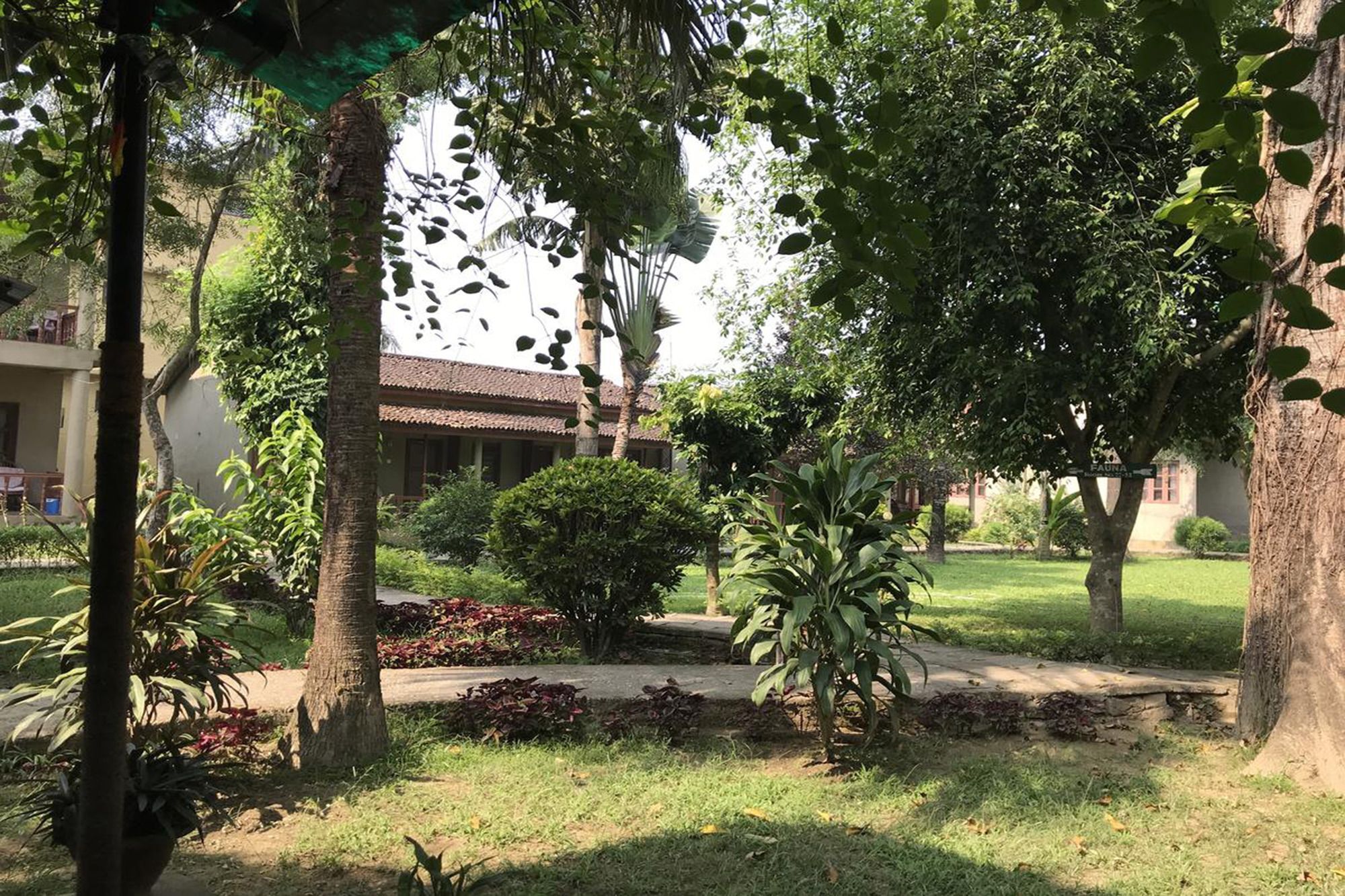 Unique Wild Resort Sauraha Dış mekan fotoğraf
