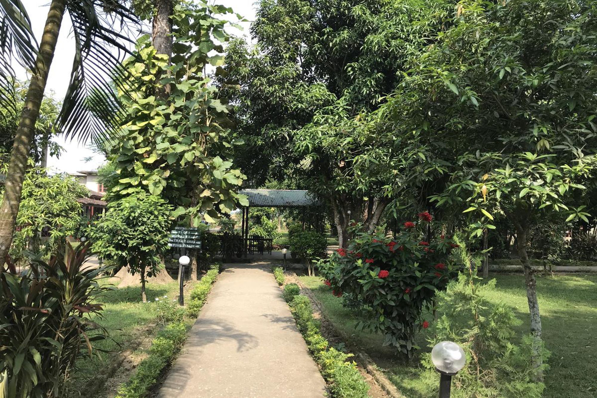 Unique Wild Resort Sauraha Dış mekan fotoğraf