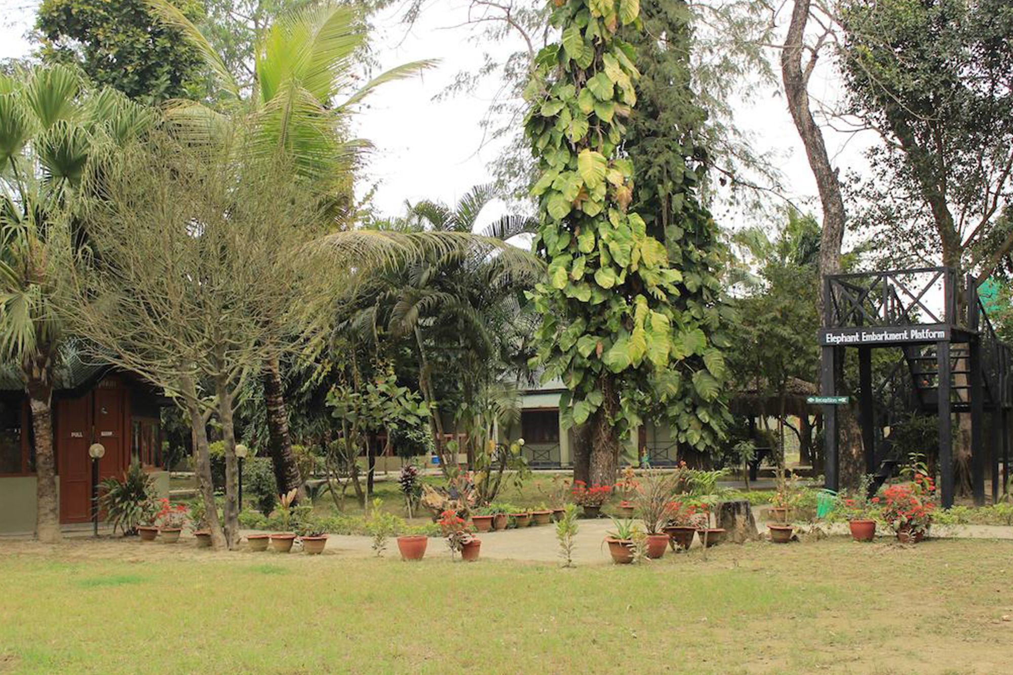 Unique Wild Resort Sauraha Dış mekan fotoğraf
