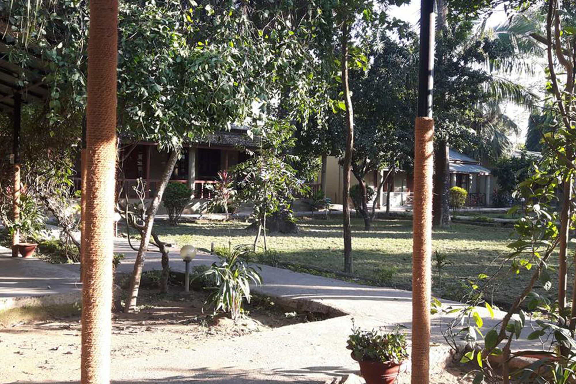 Unique Wild Resort Sauraha Dış mekan fotoğraf