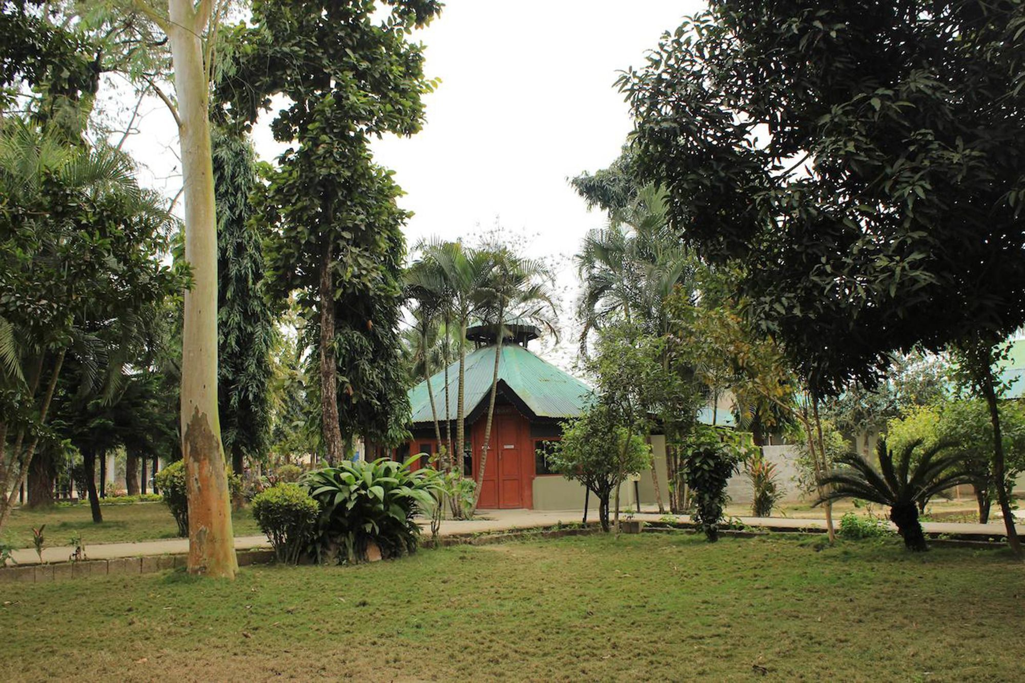 Unique Wild Resort Sauraha Dış mekan fotoğraf
